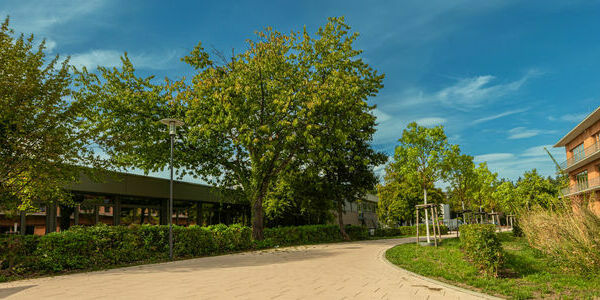 Foto-1768&lpar;1&rpar;
